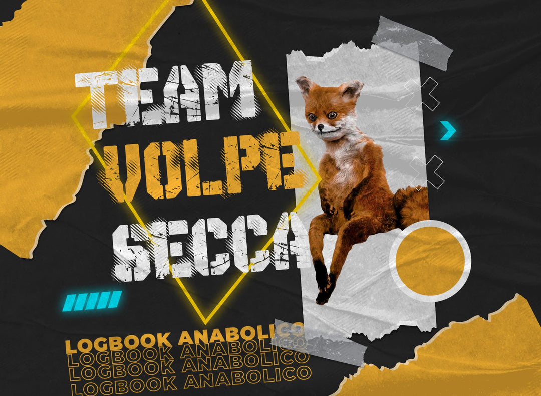 LOGBOOK TEAM VOLPE SECCA