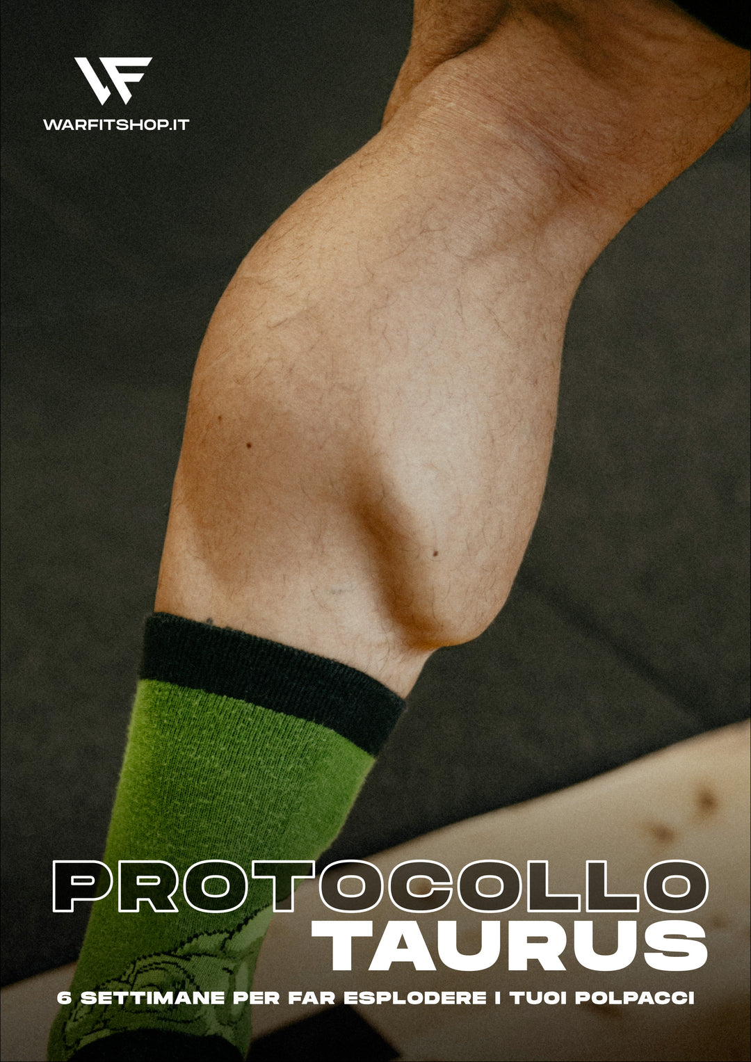 PROTOCOLLO TAURUS